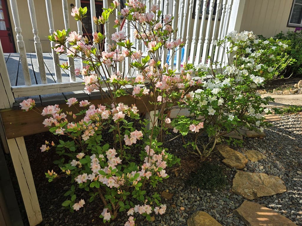 90 Fox Run, Blue Ridge GA 30513 - Photo