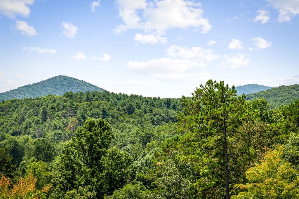 90 Fox Run, Blue Ridge GA 30513 - Photo