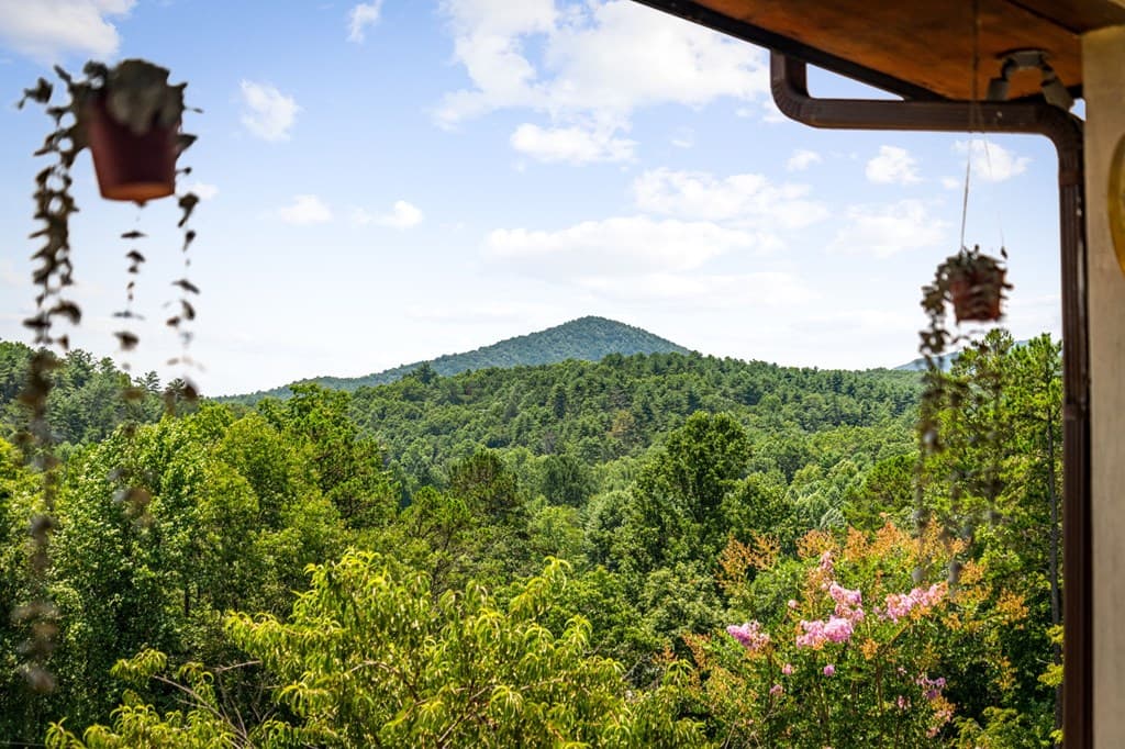 90 Fox Run, Blue Ridge GA 30513 - Photo