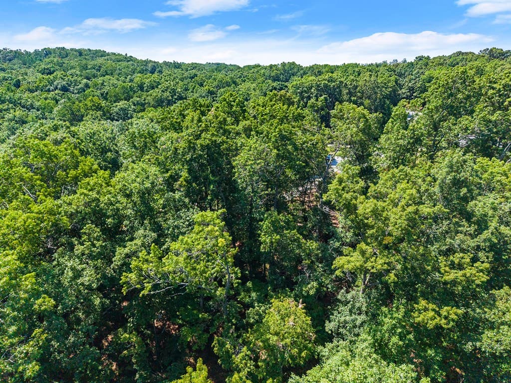 0 Flat Rock Point, Dahlonega GA 30533 - Photo
