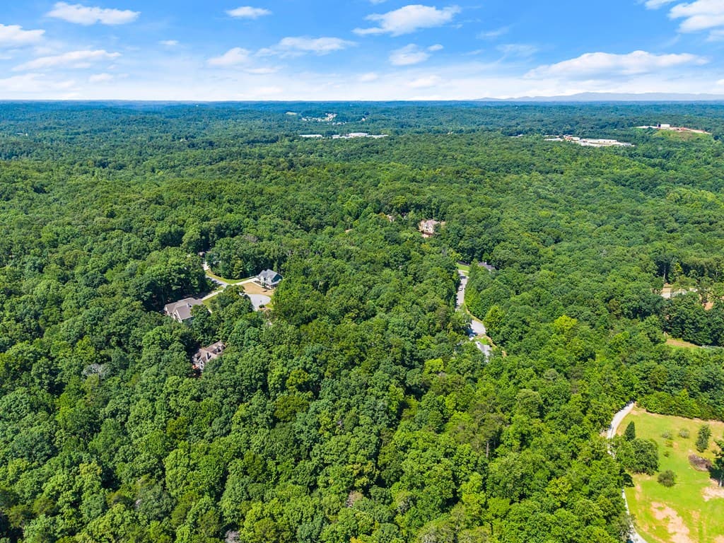 0 Flat Rock Point, Dahlonega GA 30533 - Photo