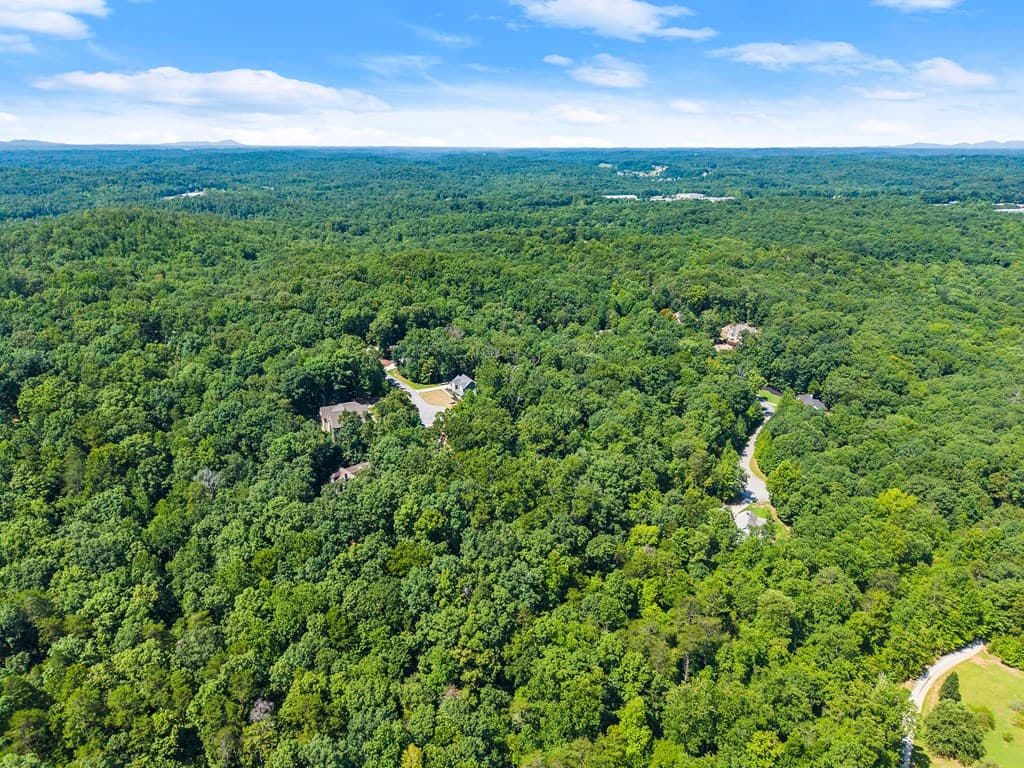 0 Flat Rock Point, Dahlonega GA 30533 - Photo