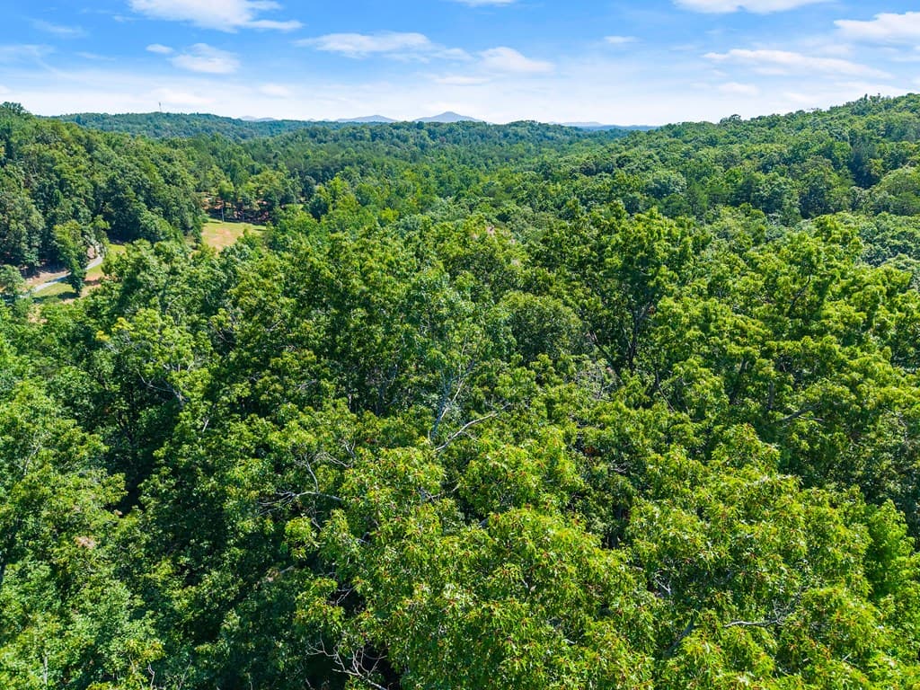 0 Flat Rock Point, Dahlonega GA 30533 - Photo