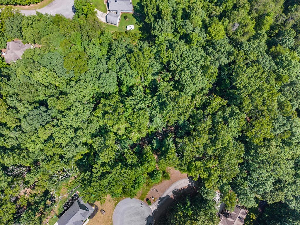 0 Flat Rock Point, Dahlonega GA 30533 - Photo
