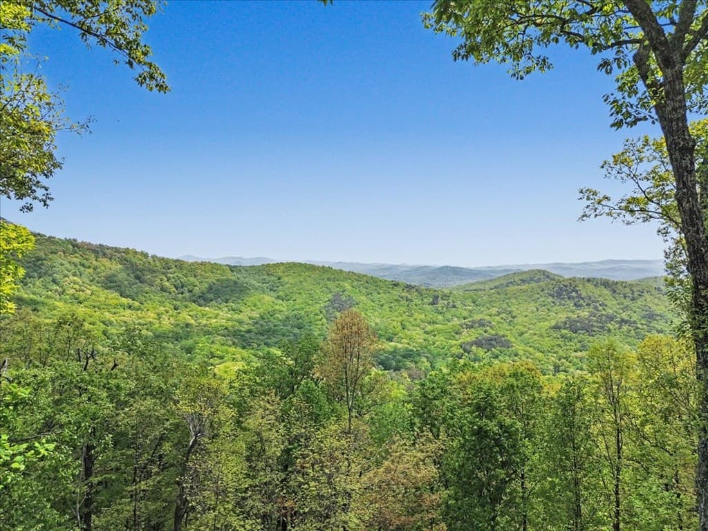 1488 Walnut Rdg, Ellijay GA 30536 - Photo