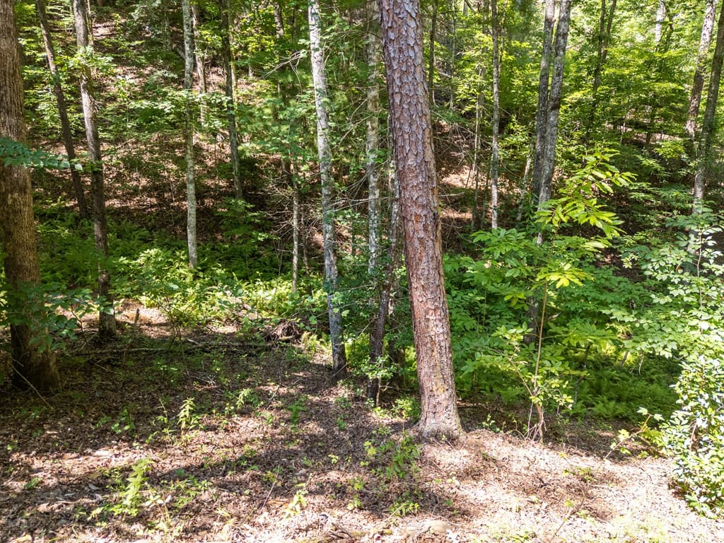 132 Lanes Way, Murphy NC 28906 - Photo