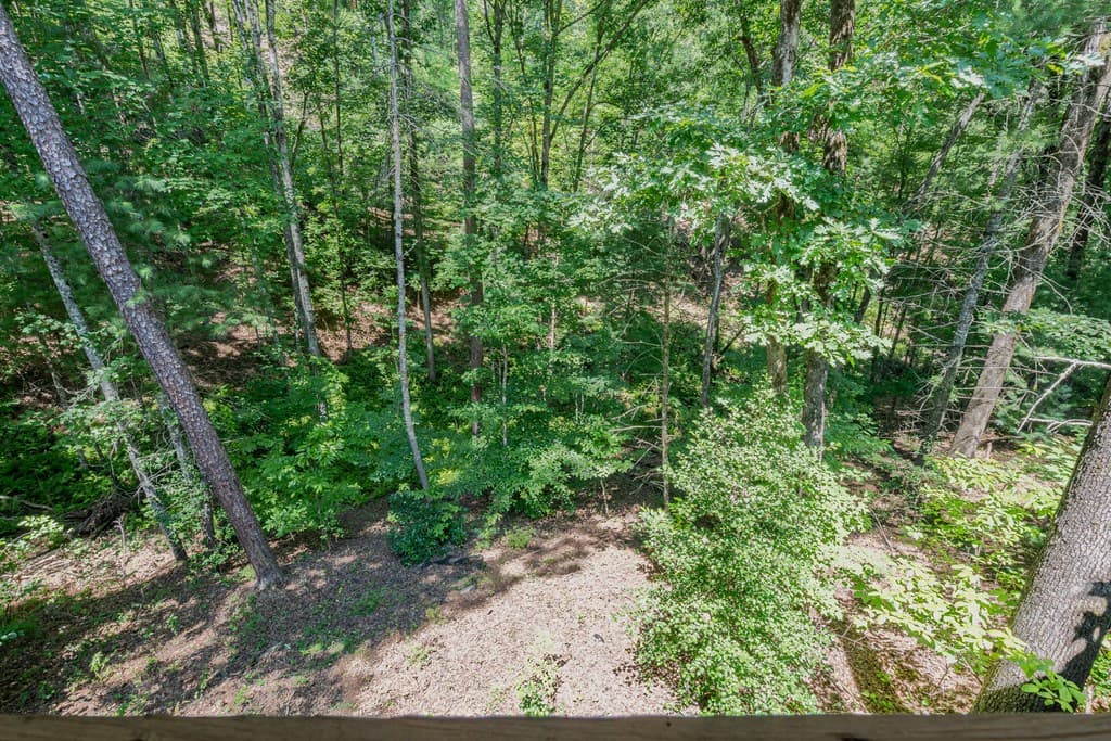 132 Lanes Way, Murphy NC 28906 - Photo
