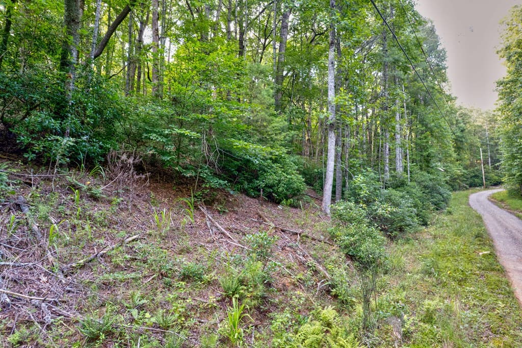 0 Wolf Pen Trail, Ellijay GA 30540 - Photo
