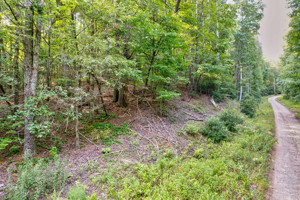 0 Wolf Pen Trail, Ellijay GA 30540 - Photo