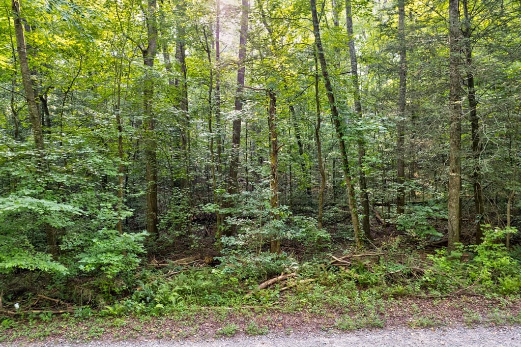 0 Wolf Pen Trail, Ellijay GA 30540 - Photo