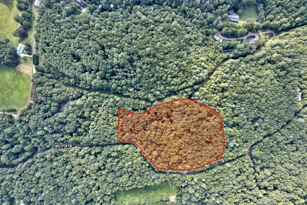 0 Wolf Pen Trail, Ellijay GA 30540 - Photo