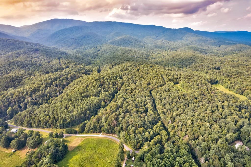 0 Wolf Pen Trail, Ellijay GA 30540 - Photo