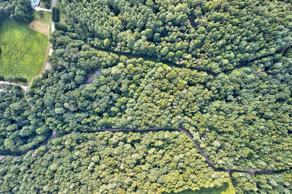 0 Wolf Pen Trail, Ellijay GA 30540 - Photo