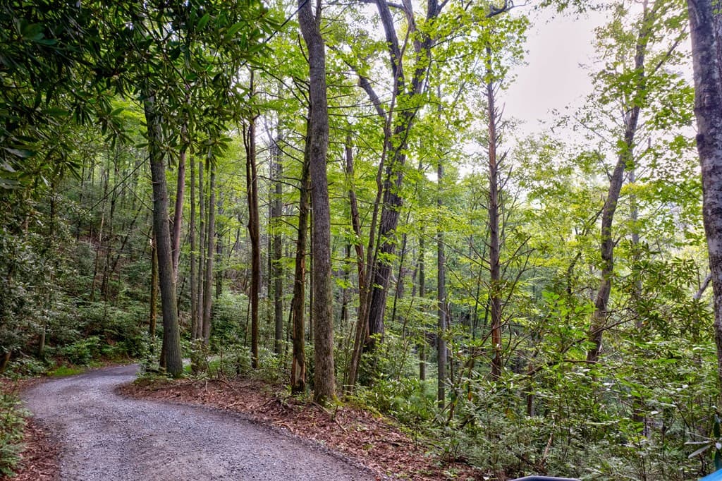 0 Wolf Pen Trail, Ellijay GA 30540 - Photo