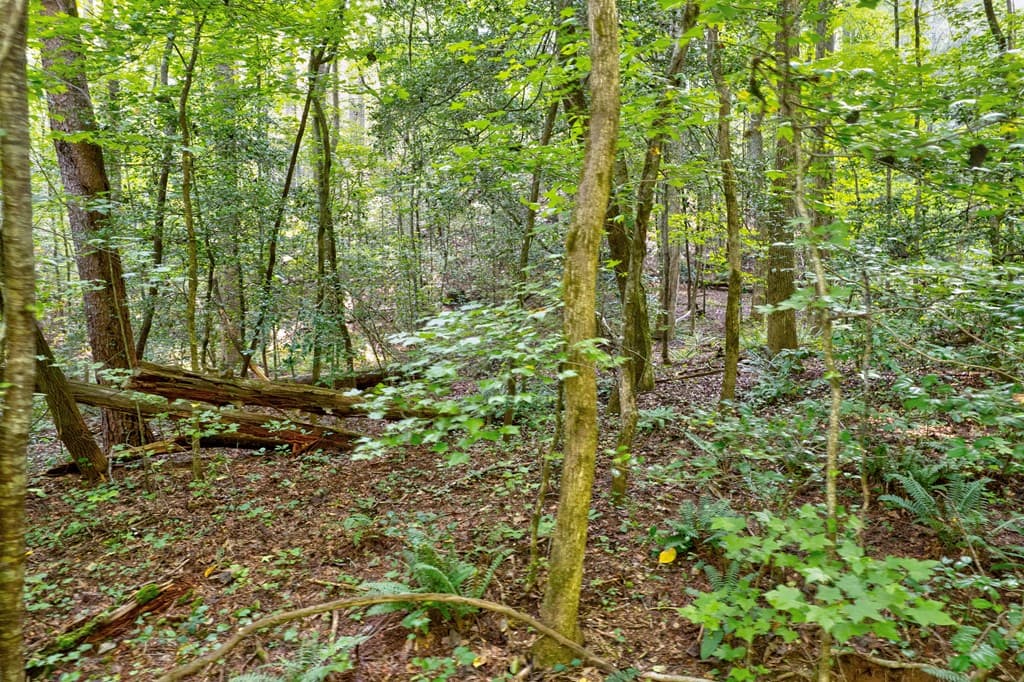 0 Wolf Pen Trail, Ellijay GA 30540 - Photo