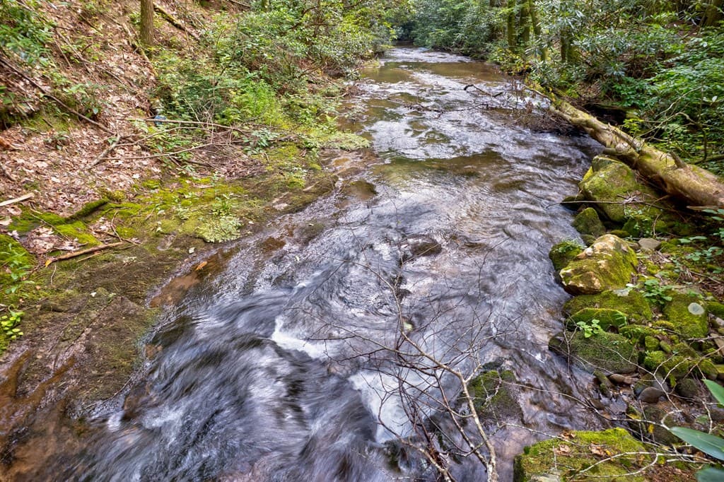 0 Wolf Pen Trail, Ellijay GA 30540 - Photo