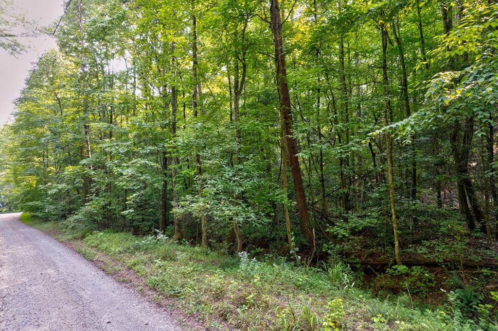 0 Wolf Pen Trail, Ellijay GA 30540 - Photo