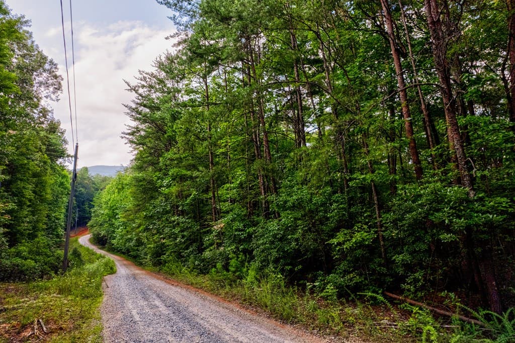 0 Wolf Pen Trail, Ellijay GA 30540 - Photo