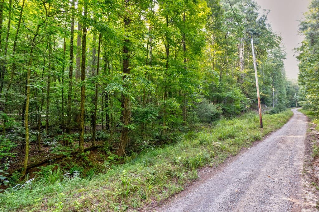 0 Wolf Pen Trail, Ellijay GA 30540 - Photo