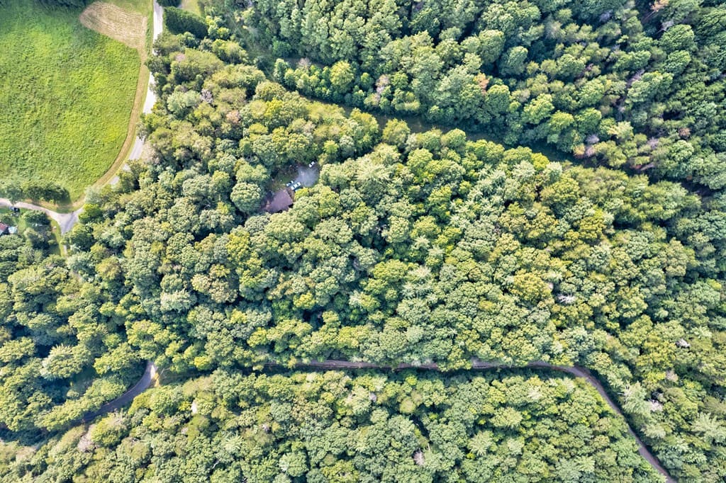 0 Wolf Pen Trail, Ellijay GA 30540 - Photo