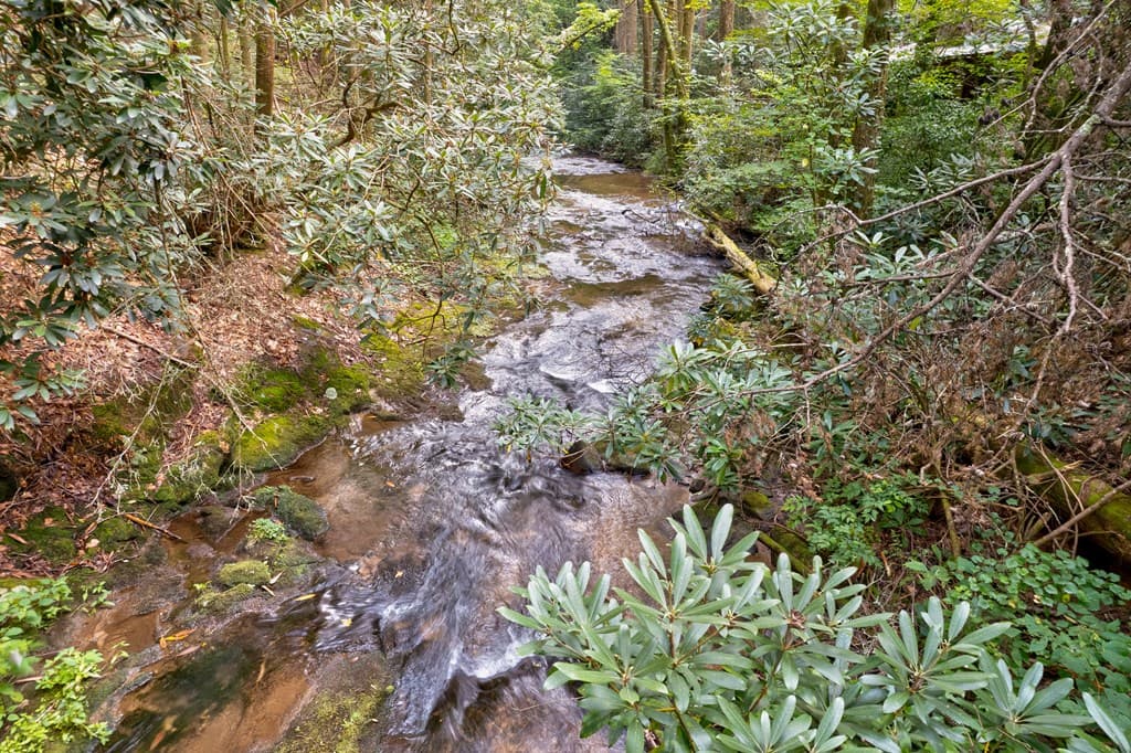 0 Wolf Pen Trail, Ellijay GA 30540 - Photo