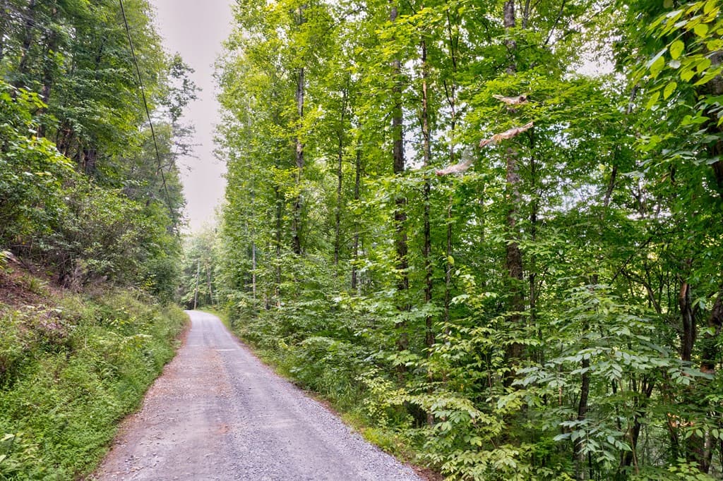 0 Wolf Pen Trail, Ellijay GA 30540 - Photo