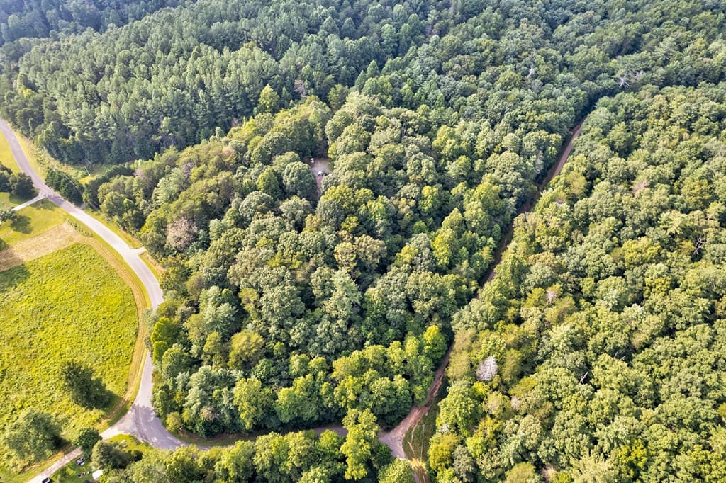 0 Wolf Pen Trail, Ellijay GA 30540 - Photo