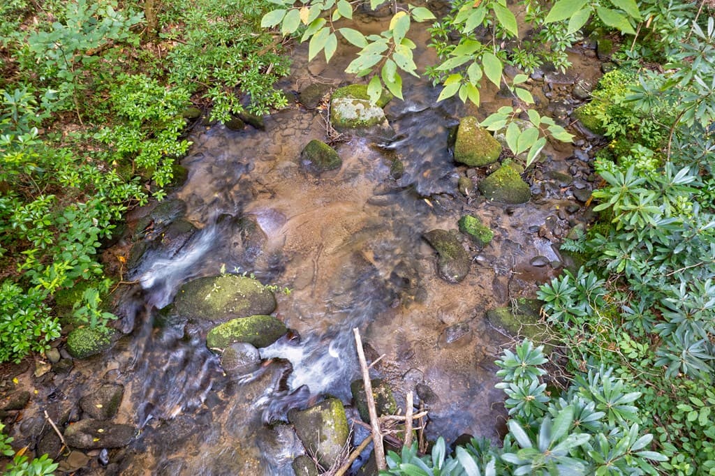 0 Wolf Pen Trail, Ellijay GA 30540 - Photo