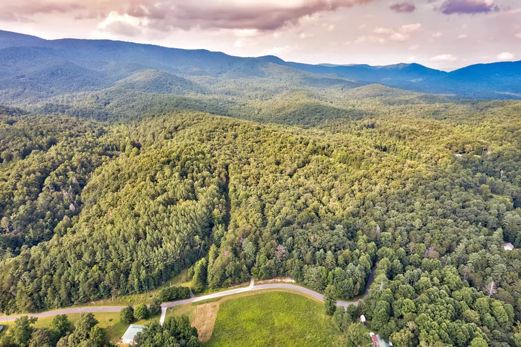 0 Wolf Pen Trail, Ellijay GA 30540 - Photo