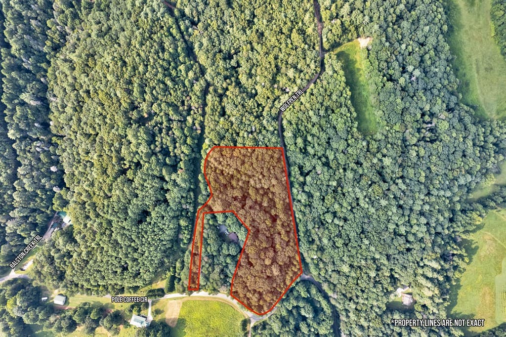 0 Wolf Pen Trail, Ellijay GA 30540 - Photo