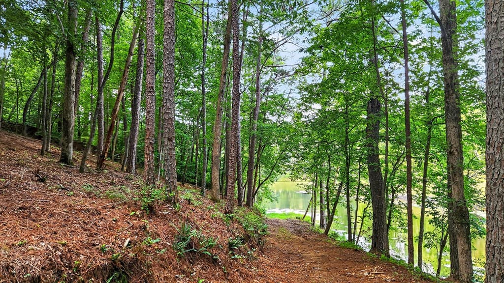 LT 170 Overlook Way, Ellijay GA 30540 - Photo