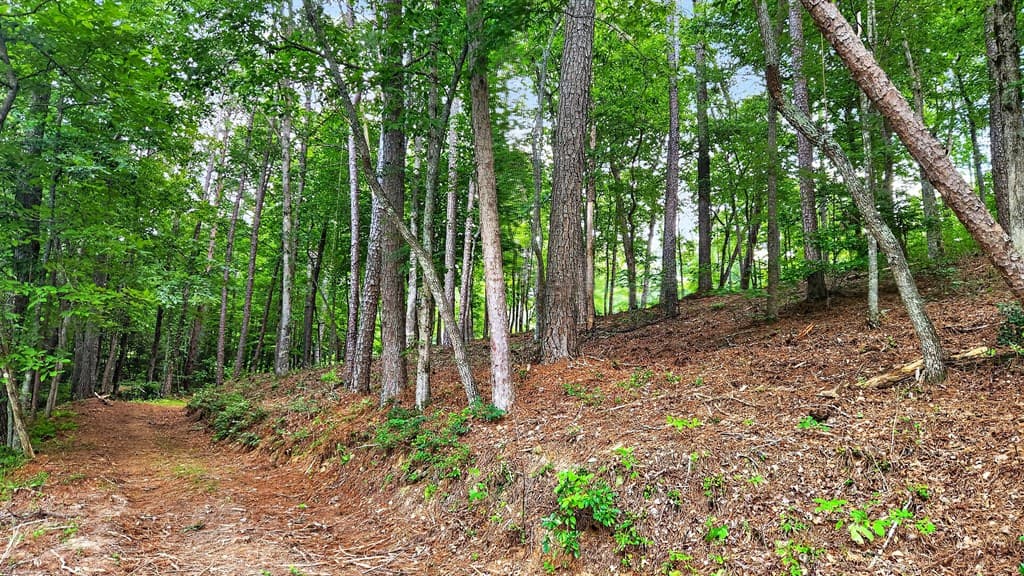 LT 170 Overlook Way, Ellijay GA 30540 - Photo