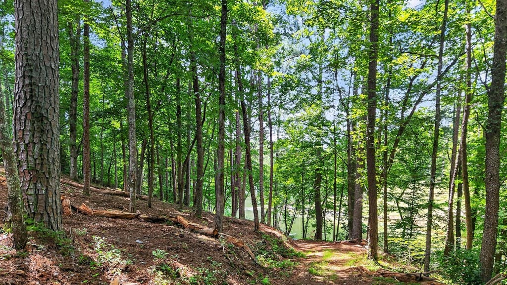 LT 170 Overlook Way, Ellijay GA 30540 - Photo