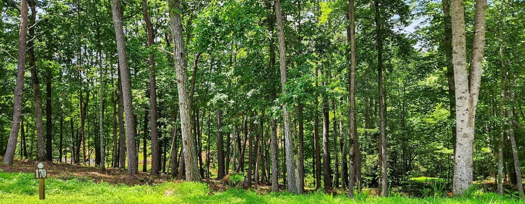 LT 170 Overlook Way, Ellijay GA 30540 - Photo