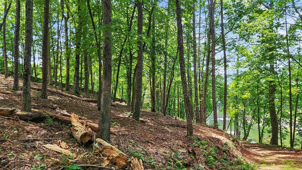 LT 170 Overlook Way, Ellijay GA 30540 - Photo