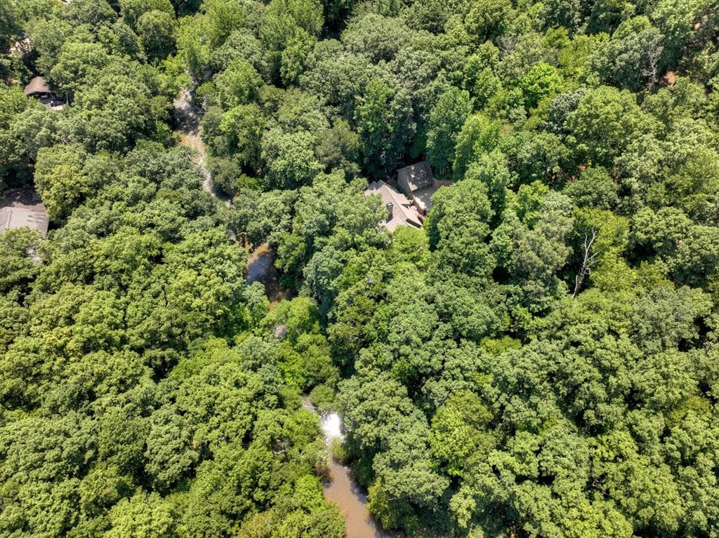 357 Goldmine Trail, Ellijay GA 30536 - Photo