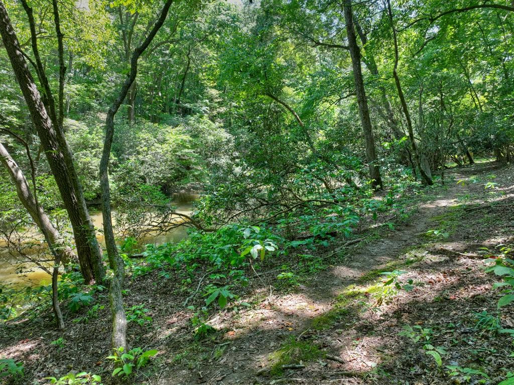 357 Goldmine Trail, Ellijay GA 30536 - Photo