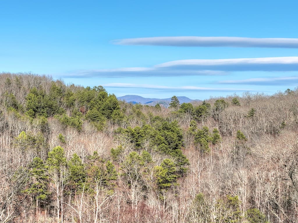 315 River Retreat Road, Blue Ridge GA 30513 - Photo