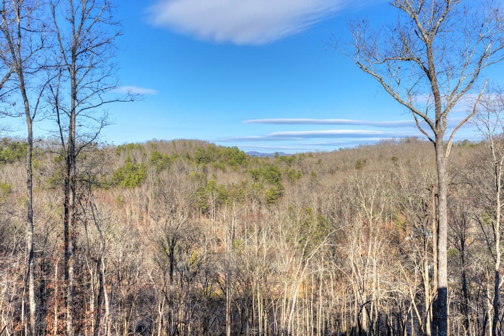 315 River Retreat Road, Blue Ridge GA 30513 - Photo