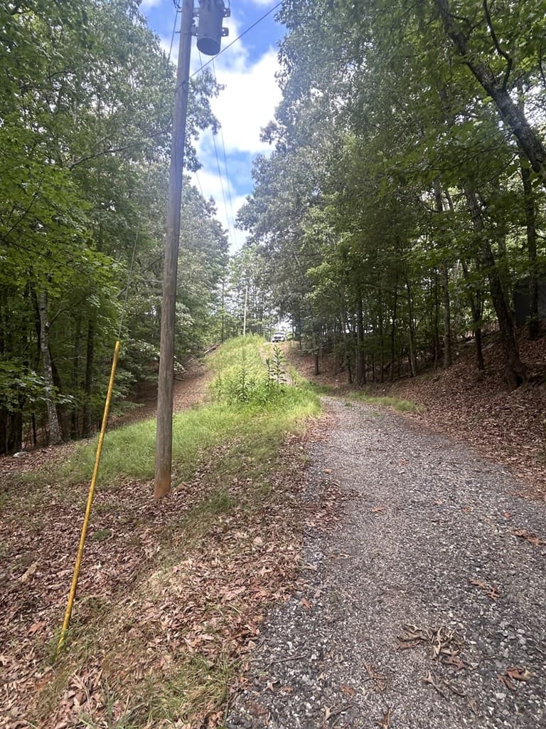1.5 Liberty Hill Road, Morganton GA 30560 - Photo