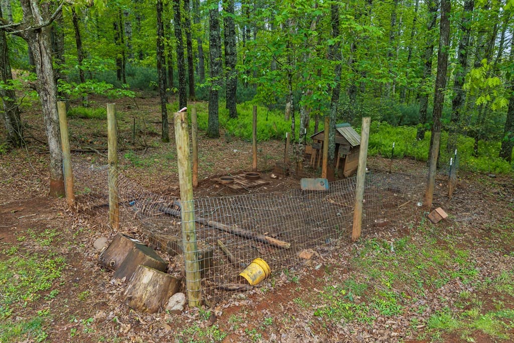 435 Dogwood Way, Blue Ridge GA 30513 - Photo