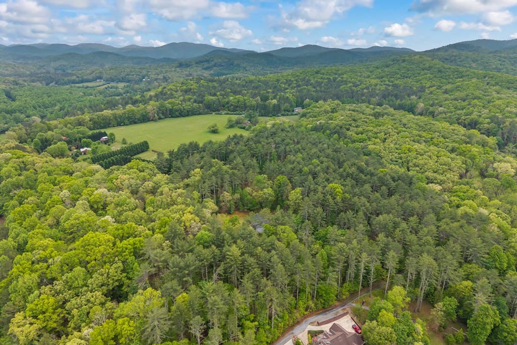 435 Dogwood Way, Blue Ridge GA 30513 - Photo