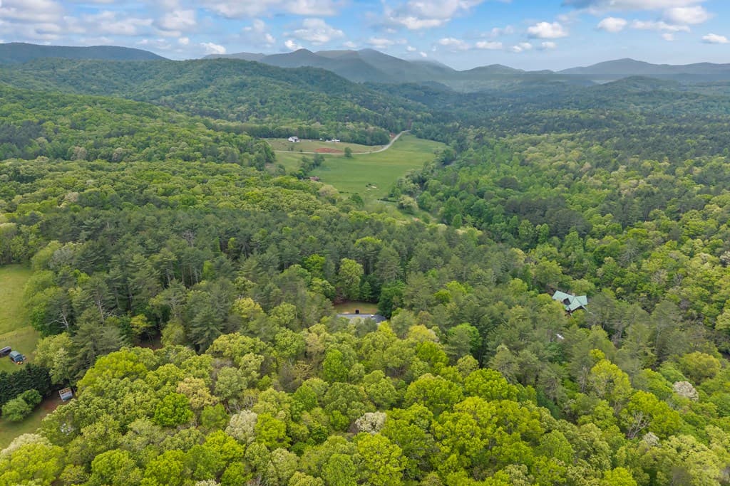 435 Dogwood Way, Blue Ridge GA 30513 - Photo