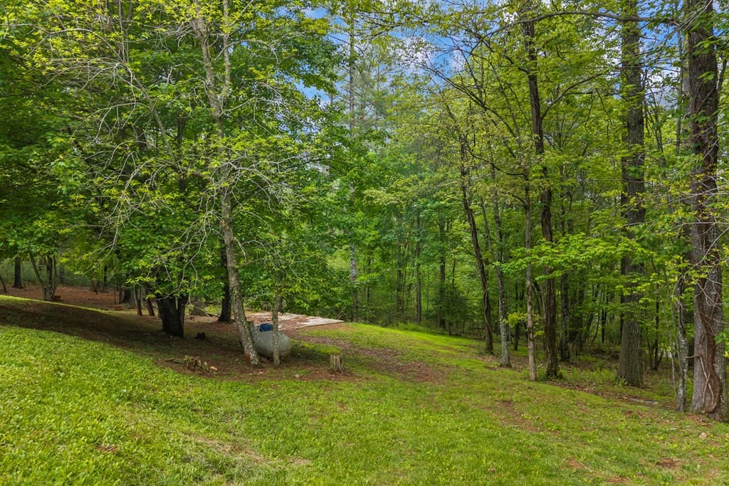 435 Dogwood Way, Blue Ridge GA 30513 - Photo