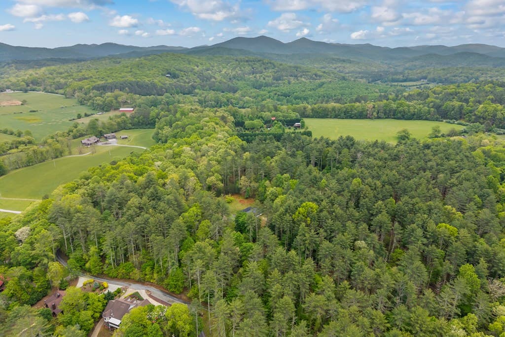 435 Dogwood Way, Blue Ridge GA 30513 - Photo
