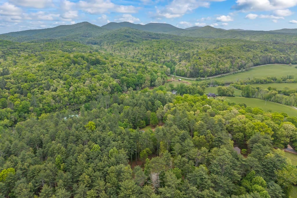 435 Dogwood Way, Blue Ridge GA 30513 - Photo
