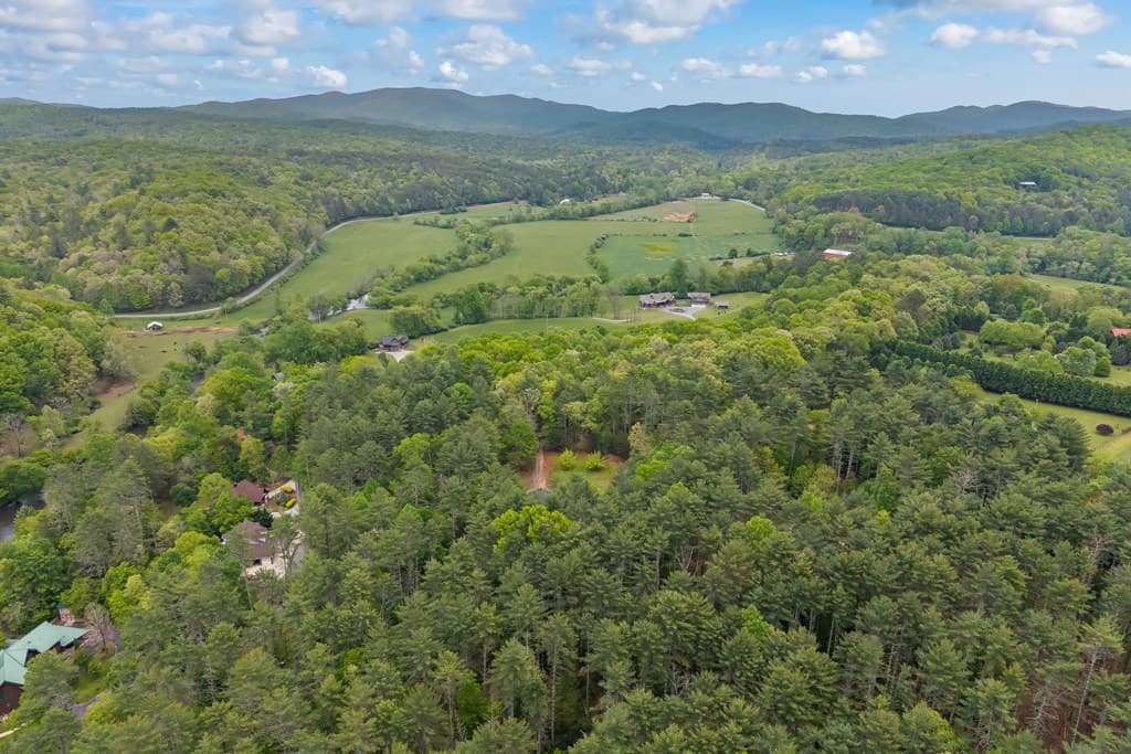 435 Dogwood Way, Blue Ridge GA 30513 - Photo