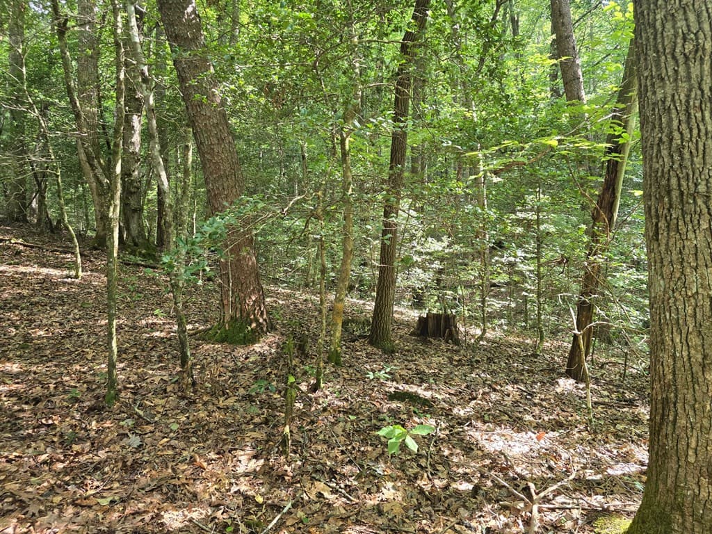 3.59 AC Swallows Creek Road, Hiawassee GA 30546 - Photo