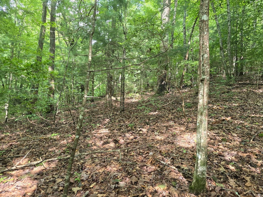 3.59 AC Swallows Creek Road, Hiawassee GA 30546 - Photo