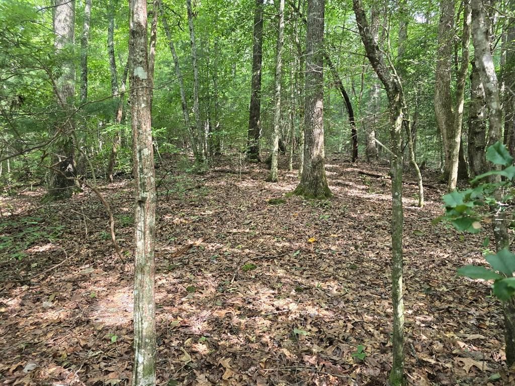 3.59 AC Swallows Creek Road, Hiawassee GA 30546 - Primary photo